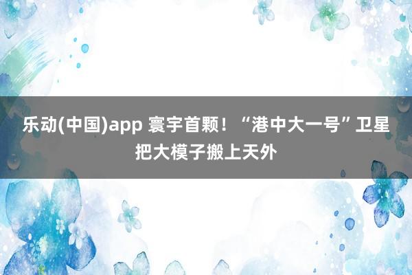 乐动(中国)app 寰宇首颗！“港中大一号”卫星把大模子搬上天外