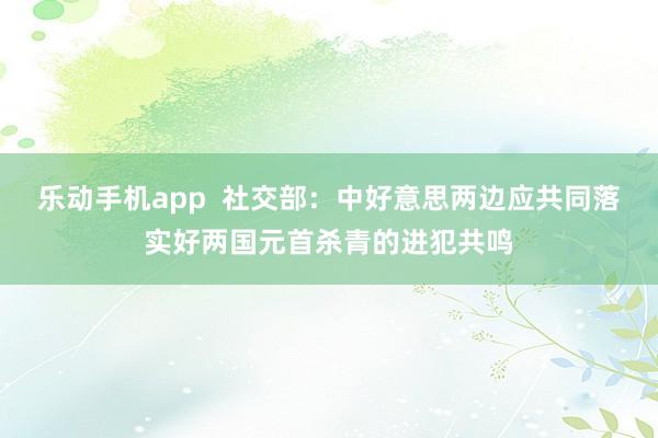 乐动手机app  社交部：中好意思两边应共同落实好两国元首杀青的进犯共鸣