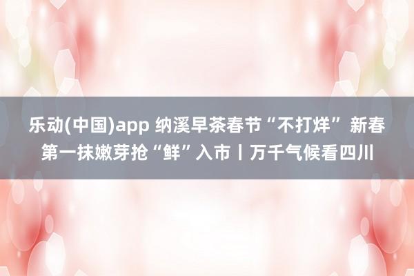 乐动(中国)app 纳溪早茶春节“不打烊” 新春第一抹嫩芽抢“鲜”入市丨万千气候看四川