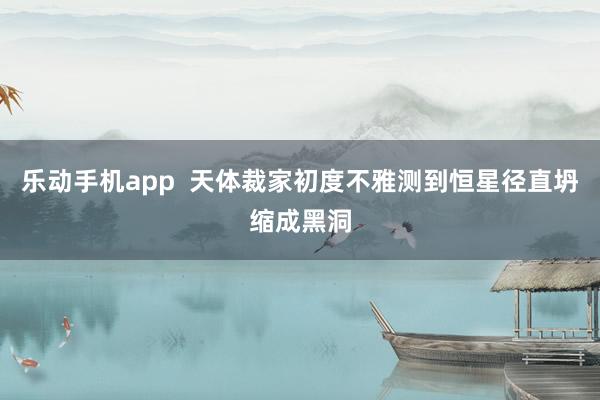 乐动手机app  天体裁家初度不雅测到恒星径直坍缩成黑洞