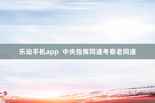 乐动手机app  中央指挥同道考察老同道