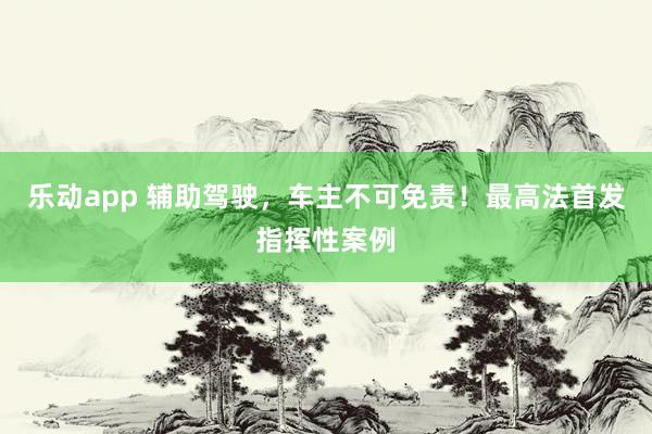 乐动app 辅助驾驶，车主不可免责！最高法首发指挥性案例