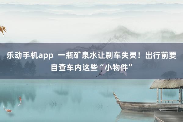 乐动手机app  一瓶矿泉水让刹车失灵！出行前要自查车内这些“小物件”