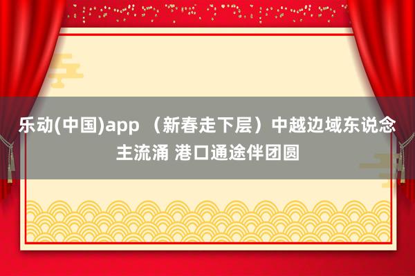 乐动(中国)app （新春走下层）中越边域东说念主流涌 港口通途伴团圆