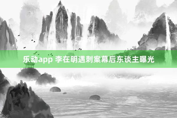 乐动app 李在明遇刺案幕后东谈主曝光