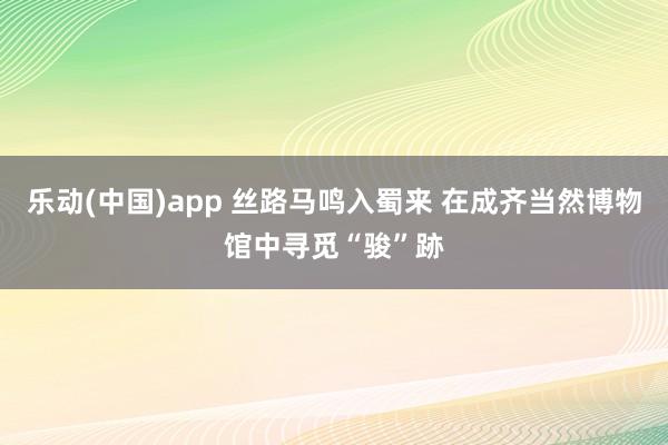 乐动(中国)app 丝路马鸣入蜀来 在成齐当然博物馆中寻觅“骏”跡