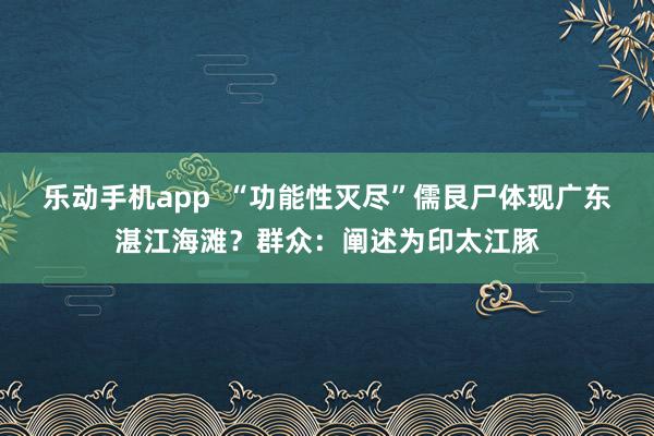 乐动手机app  “功能性灭尽”儒艮尸体现广东湛江海滩？群众：阐述为印太江豚