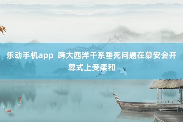 乐动手机app  跨大西洋干系垂死问题在慕安会开幕式上受柔和