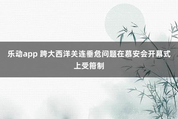 乐动app 跨大西洋关连垂危问题在慕安会开幕式上受箝制
