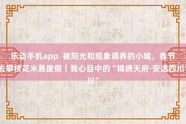 乐动手机app  被阳光和现象调养的小城，春节去攀枝花米易度假｜我心目中的“锦绣天府·安逸四川”