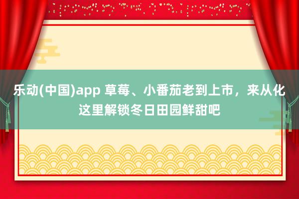 乐动(中国)app 草莓、小番茄老到上市，来从化这里解锁冬日田园鲜甜吧