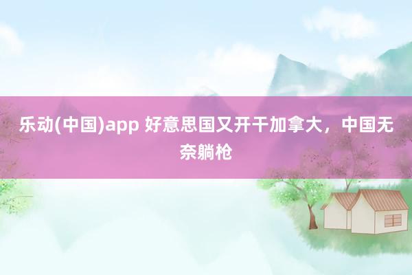 乐动(中国)app 好意思国又开干加拿大，中国无奈躺枪