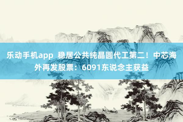 乐动手机app  稳居公共纯晶圆代工第二！中芯海外再发股票：6091东说念主获益