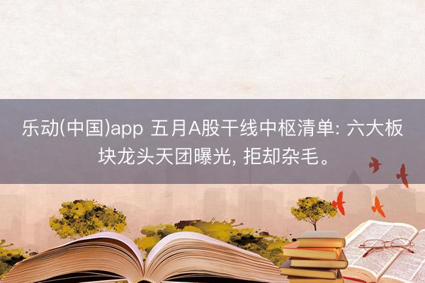 乐动(中国)app 五月A股干线中枢清单: 六大板块龙头天团曝光， 拒却杂毛。
