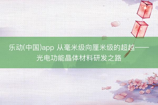乐动(中国)app 从毫米级向厘米级的超越——光电功能晶体材料研发之路