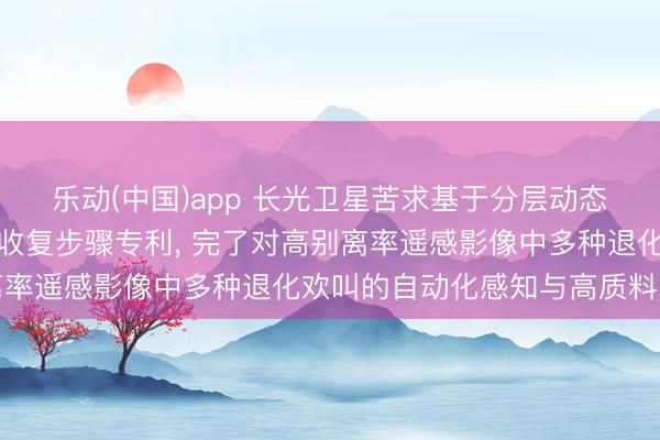 乐动(中国)app 长光卫星苦求基于分层动态提醒的遥感图像多任务收复步骤专利， 完了对高别离率遥感影像中多种退化欢叫的自动化感知与高质料收复