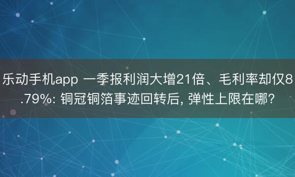 乐动手机app 一季报利润大增21倍、毛利率却仅8.79%: 铜冠铜箔事迹回转后， 弹性上限在哪?