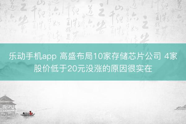 乐动手机app 高盛布局10家存储芯片公司 4家股价低于20元没涨的原因很实在