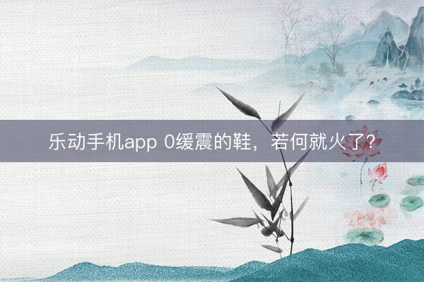 乐动手机app 0缓震的鞋，若何就火了？