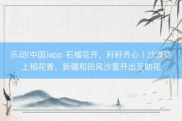 乐动(中国)app 石榴花开，籽籽齐心丨沙漠边上稻花香，新疆和田风沙里开出互助花