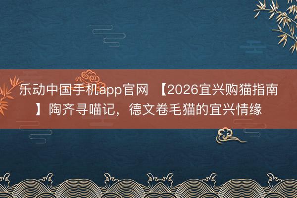 乐动中国手机app官网 【2026宜兴购猫指南】陶齐寻喵记，德文卷毛猫的宜兴情缘