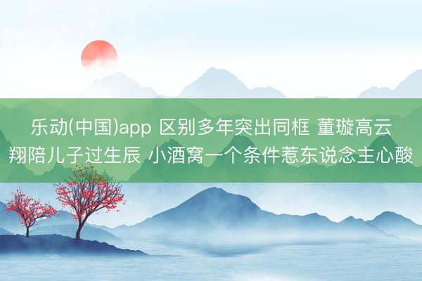 乐动(中国)app 区别多年突出同框 董璇高云翔陪儿子过生辰 小酒窝一个条件惹东说念主心酸