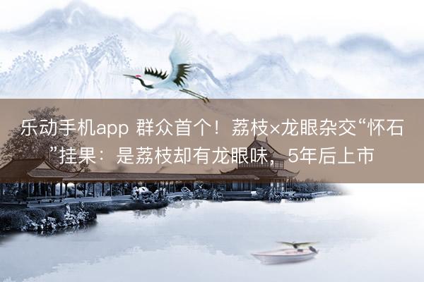 乐动手机app 群众首个！荔枝×龙眼杂交“怀石”挂果：是荔枝却有龙眼味，5年后上市
