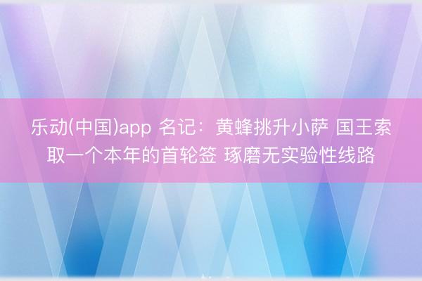 乐动(中国)app 名记:黄蜂挑升小萨 国王索取一个本年的首轮签 琢磨无实验性线路