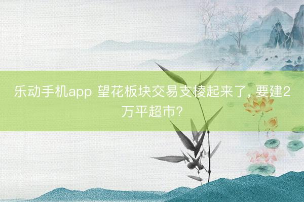 乐动手机app 望花板块交易支棱起来了, 要建2万平超市?