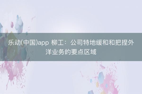 乐动(中国)app 柳工：公司特地缓和和把捏外洋业务的要点区域