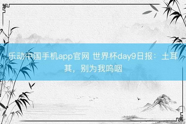 乐动中国手机app官网 世界杯day9日报:土耳其,别为我呜咽